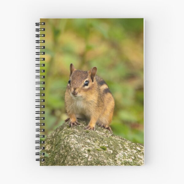 Item preview, Chipmunk designed and sold by FlyingLilly.