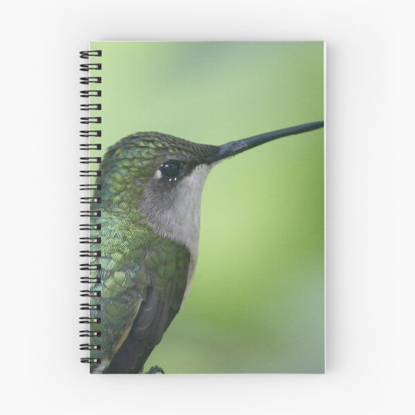 Item preview, ruby throated hummingbird designed and sold by Enola Gay Wagner.