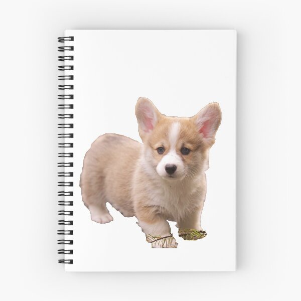 Item preview, Corgis attack  designed and sold by Laurfelle.
