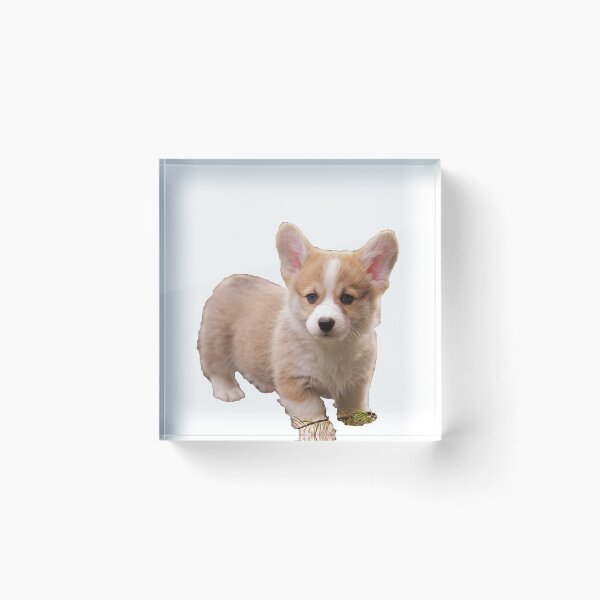Item preview, Corgis attack  designed and sold by Laurfelle.