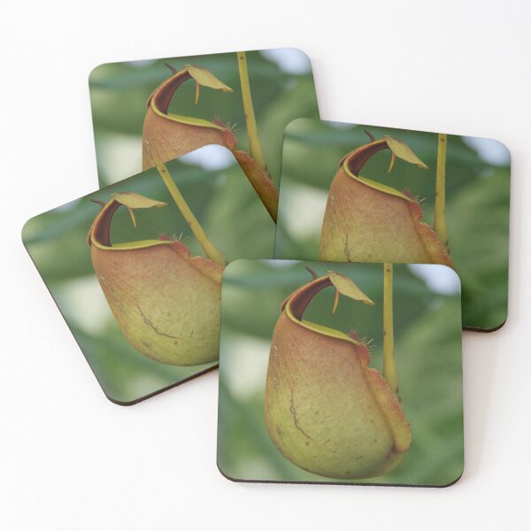 Item preview, Vampire Pitcher Plant designed and sold by The Botanical Jason.