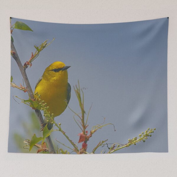 Item preview, Blue Winged Warbler designed and sold by Enola Gay Wagner.