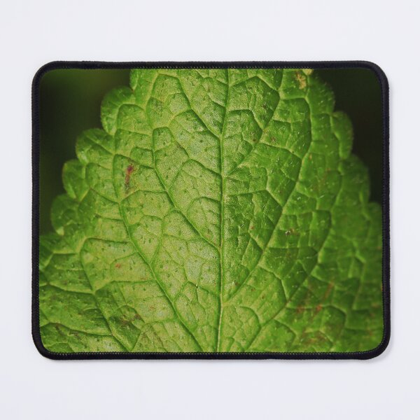 Item preview, Mint designed and sold by Geoff Treagus.