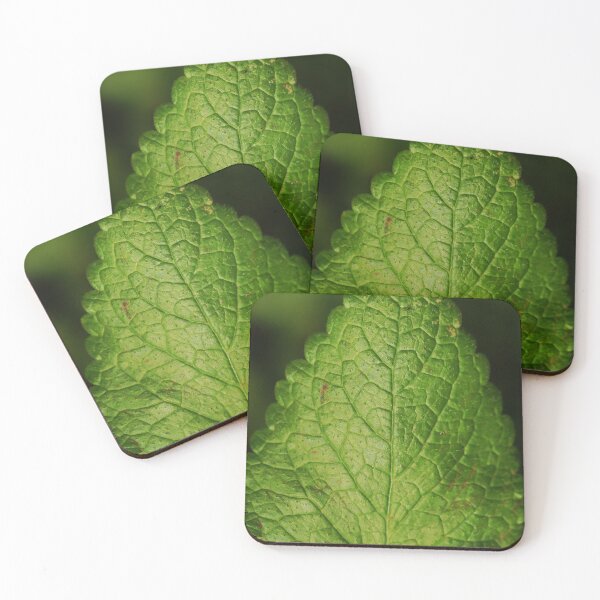 Item preview, Mint designed and sold by Geoff Treagus.