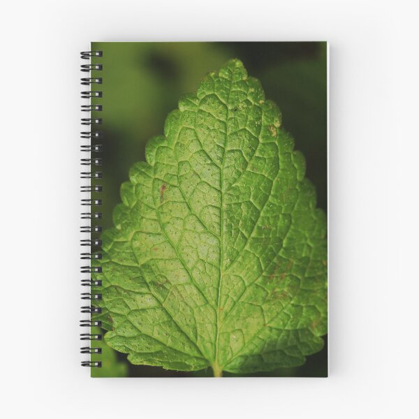 Item preview, Mint designed and sold by Geoff Treagus.
