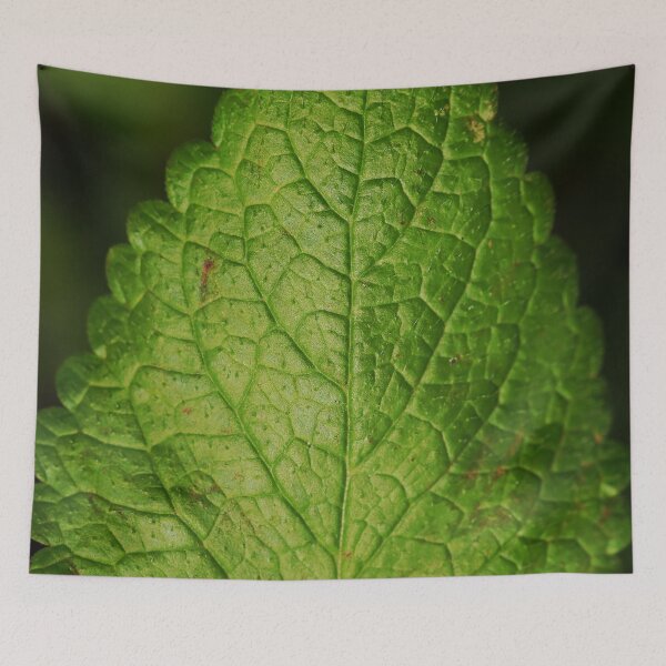 Item preview, Mint designed and sold by Geoff Treagus.