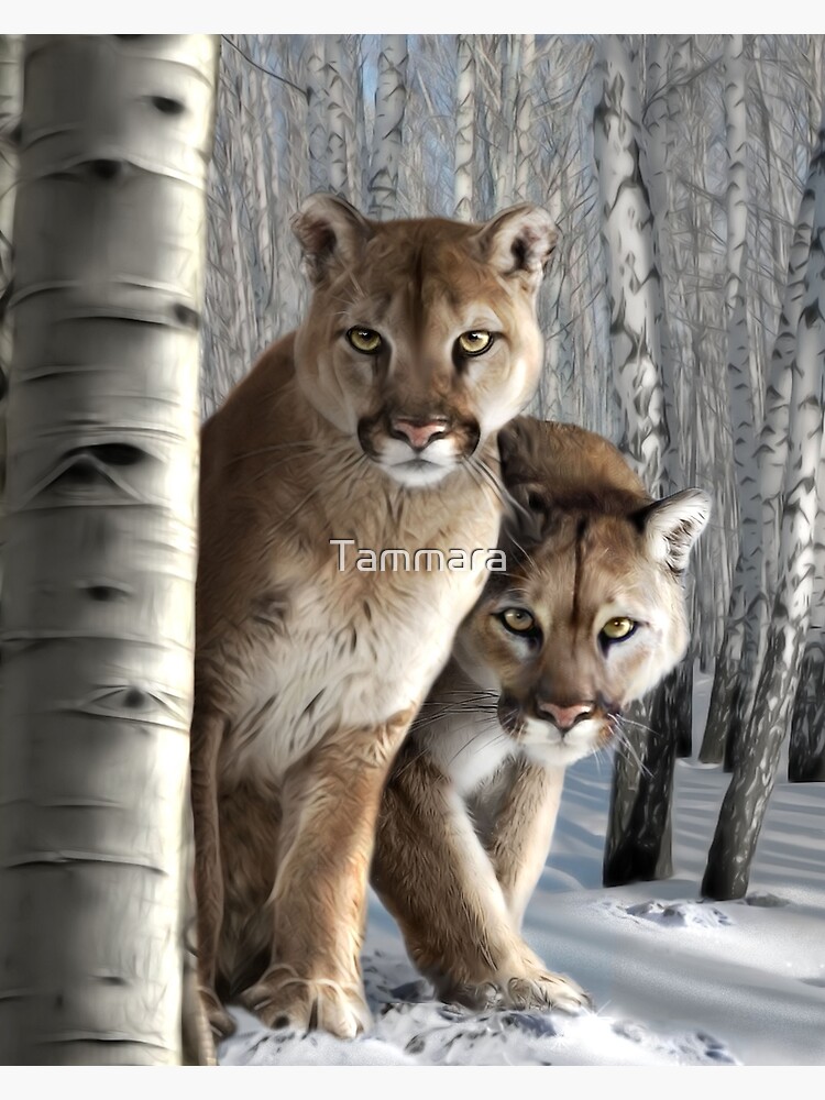 J&J by Tammara