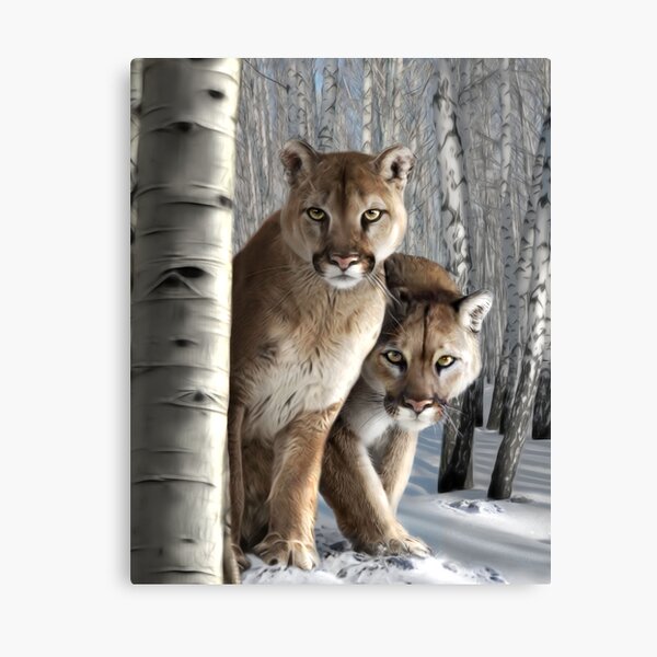 J&J Canvas Print