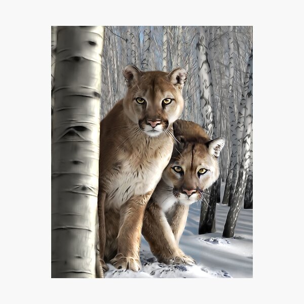 J&J Photographic Print
