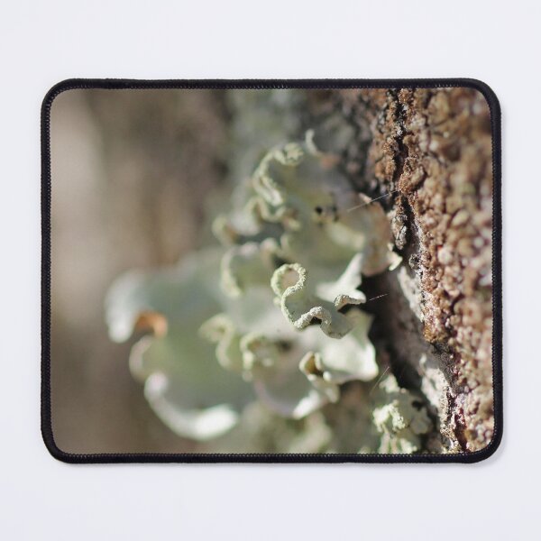 Item preview, close up designed and sold by Jodie Cooper.