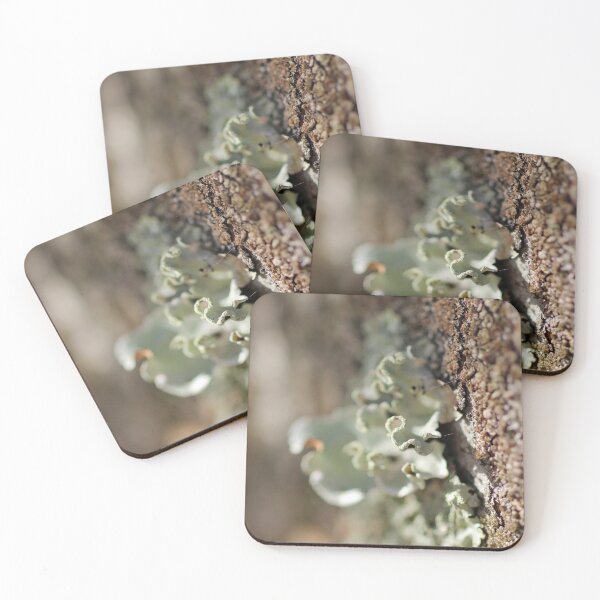 Item preview, close up designed and sold by Jodie Cooper.