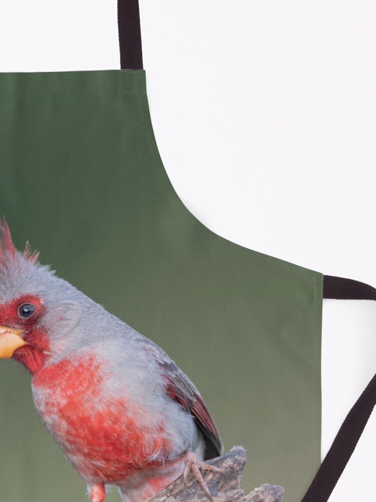 Thumbnail 3 of 6, Apron, Male Pyrrhuloxia designed and sold by Puttaswamy Ravishankar.