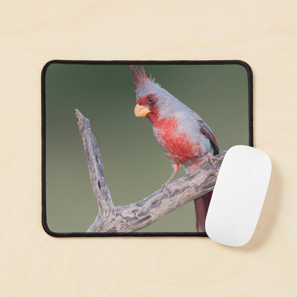 Item preview, Mouse Pad designed and sold by rshankar8080.