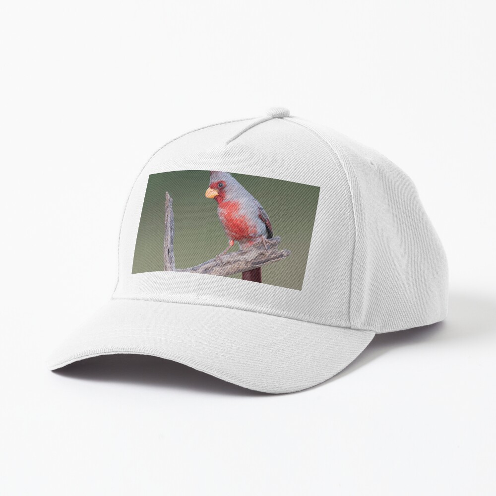 Item preview, Baseball Cap designed and sold by rshankar8080.