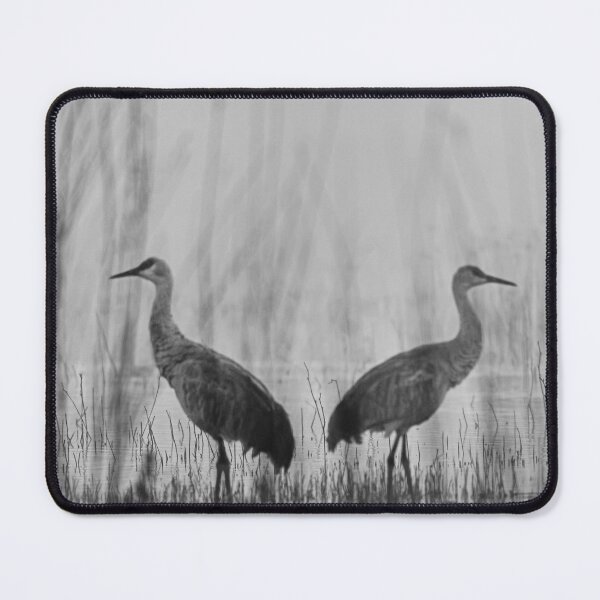Item preview, Sandhill cranes in a Mist designed and sold by Puttaswamy Ravishankar.