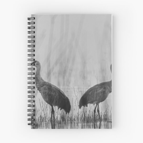 Item preview, Sandhill cranes in a Mist designed and sold by Puttaswamy Ravishankar.