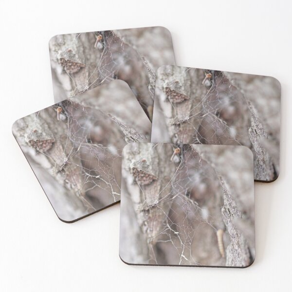 Item preview, telaraña designed and sold by Jodie Cooper.