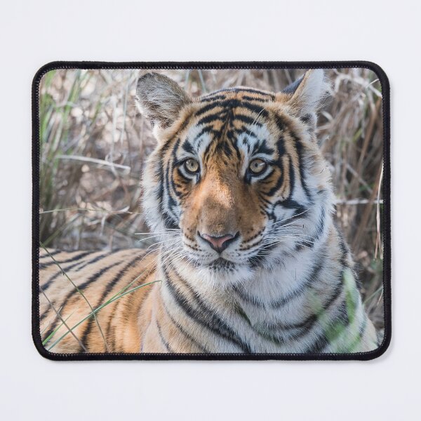 Item preview, Contemplating My Next Move designed and sold by Puttaswamy Ravishankar.