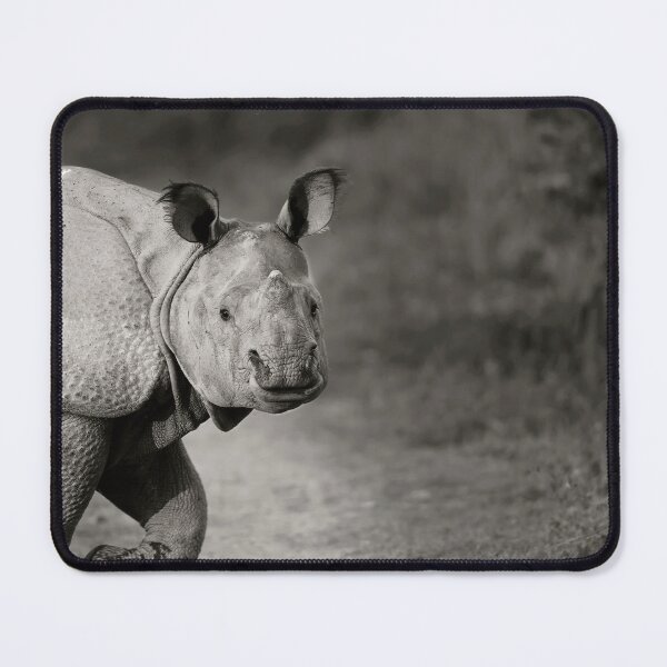 Item preview, Gentle Gaze designed and sold by Puttaswamy Ravishankar.