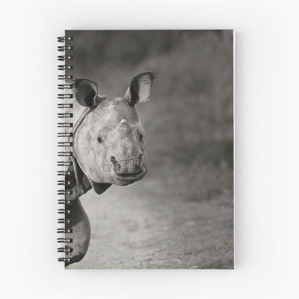 Item preview, Gentle Gaze designed and sold by Puttaswamy Ravishankar.