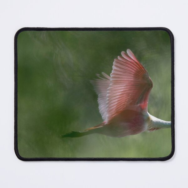 Item preview, Roseate spoonbill designed and sold by Puttaswamy Ravishankar.