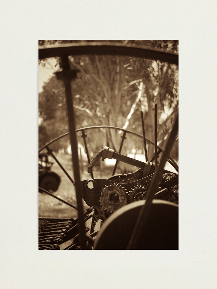 Alternate view of Rusting farm equipment - sepia Photographic Print