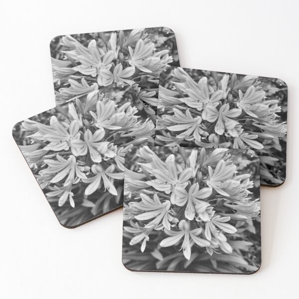 Item preview, B/W flower designed and sold by barbich.