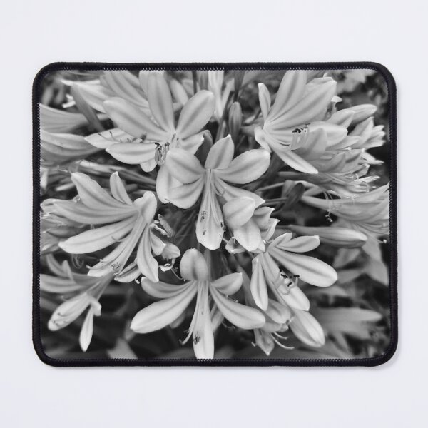 Item preview, B/W flower designed and sold by barbich.