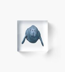 The Wonderer Acrylic Block