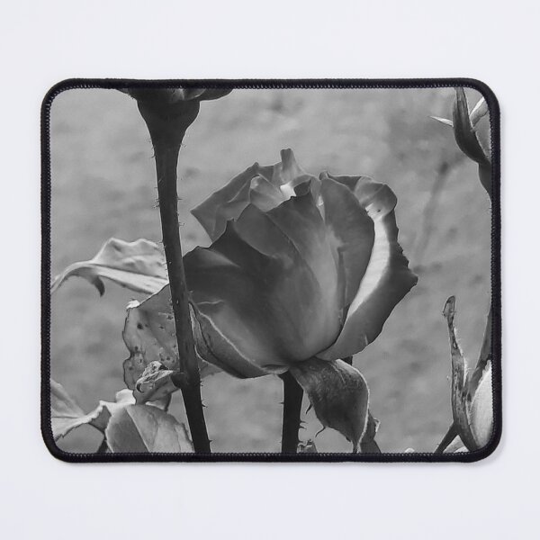 Item preview, B/W beauty designed and sold by barbich.