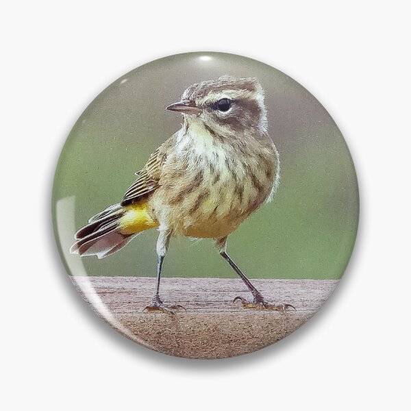 Item preview, Looking Right Palm Warbler  designed and sold by Jeffrey Mask.