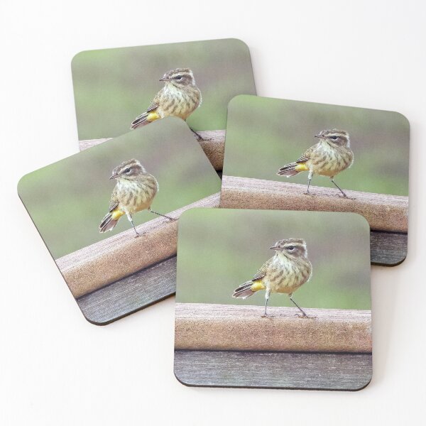 Item preview, Looking Right Palm Warbler  designed and sold by Jeffrey Mask.