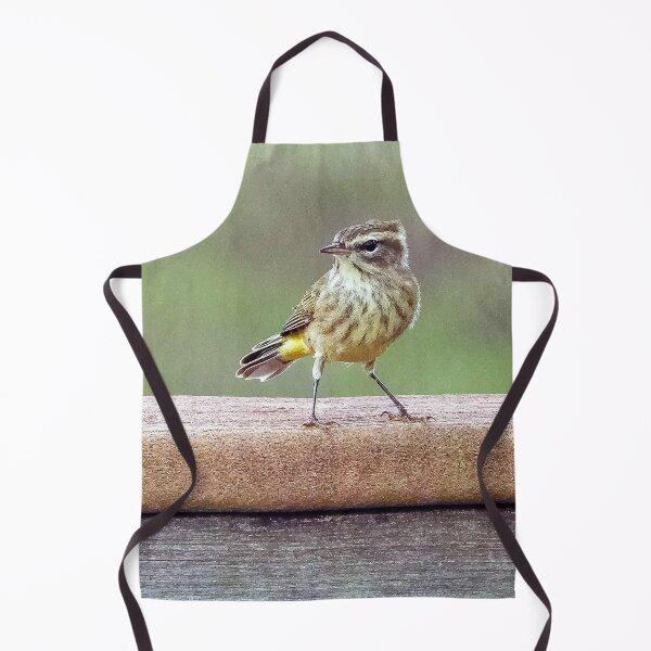 Item preview, Looking Right Palm Warbler  designed and sold by Jeffrey Mask.