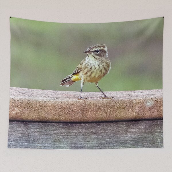 Item preview, Looking Right Palm Warbler  designed and sold by Jeffrey Mask.