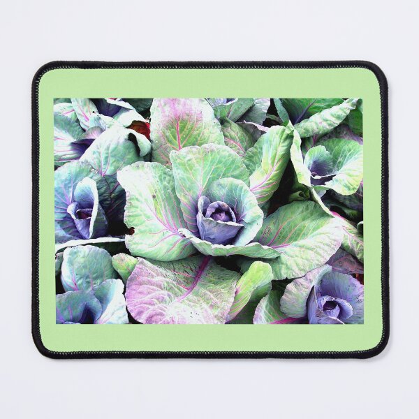 Item preview, Cabbages 1   designed and sold by Beatrice Roberts.