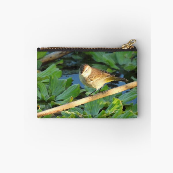 Item preview, Sun Lit Palm Warbler designed and sold by Jeffrey Mask.