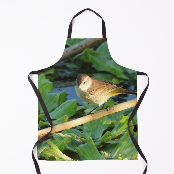 Item preview, Sun Lit Palm Warbler designed and sold by Jeffrey Mask.