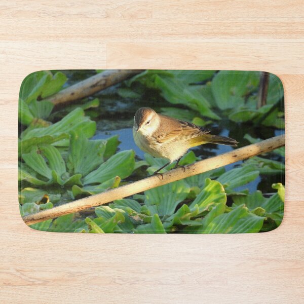 Item preview, Sun Lit Palm Warbler designed and sold by Jeffrey Mask.