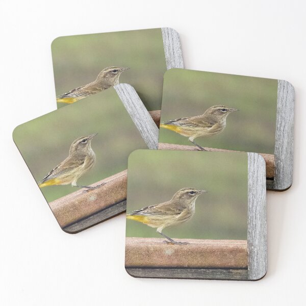Item preview, Looking Left Palm Warbler  designed and sold by Jeffrey Mask.