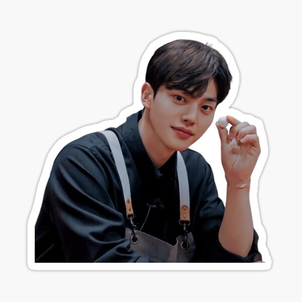 "Song Kang - V11" Sticker for Sale by shoppinggalore | Redbubble