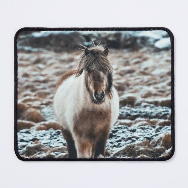 Item preview, Icelandic horse on the winter pasture designed and sold by Jessinia Wallach.