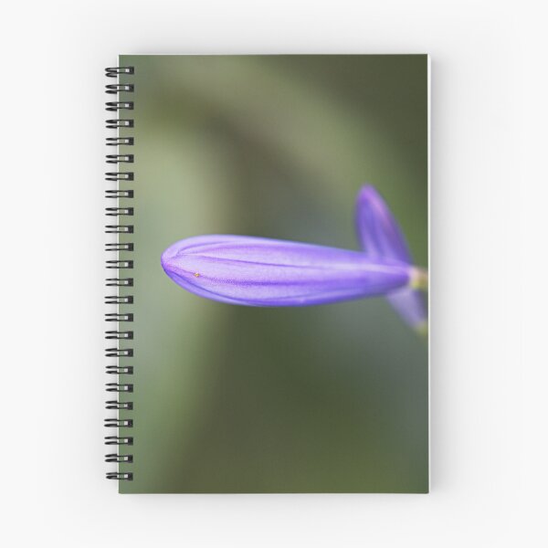 Item preview, Lily Of The Nile Bloom  designed and sold by Joy Watson - Natural Light Photography .