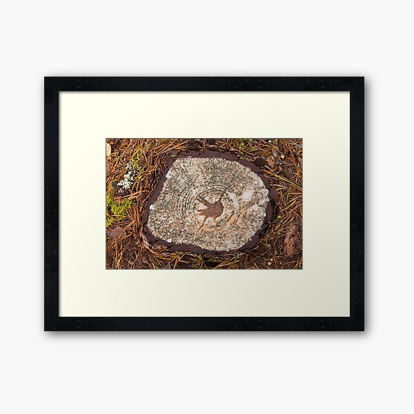 Item preview, Tree Stump designed and sold by kernuak.