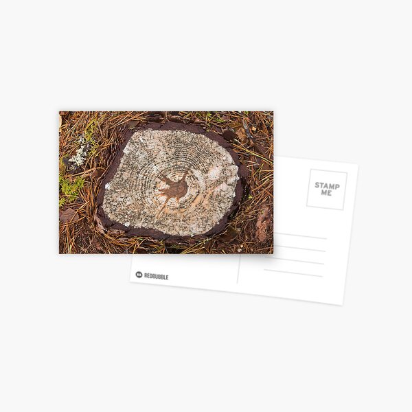 Item preview, Tree Stump designed and sold by kernuak.