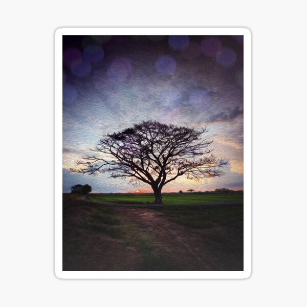 Item preview, Sunset Tree and Bubbles designed and sold by Huskyyy Designs.