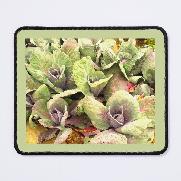 Item preview, Cabbage Bed    designed and sold by Beatrice Roberts.