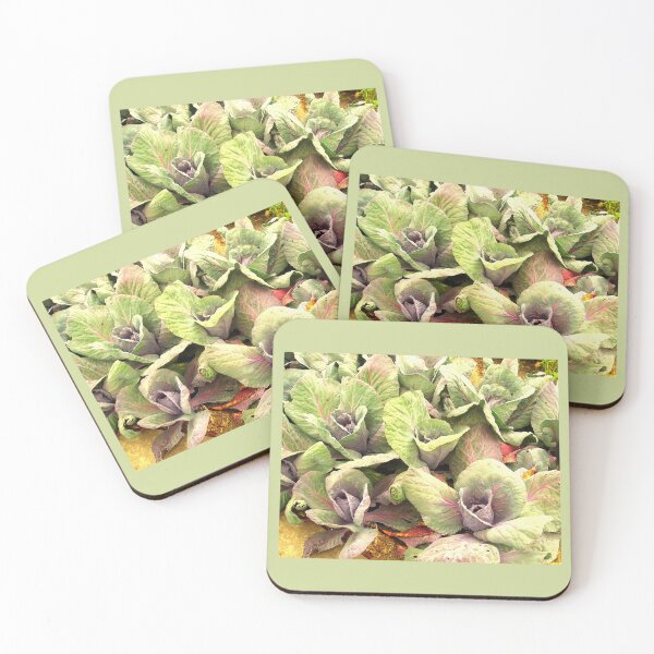 Item preview, Cabbage Bed    designed and sold by Beatrice Roberts.