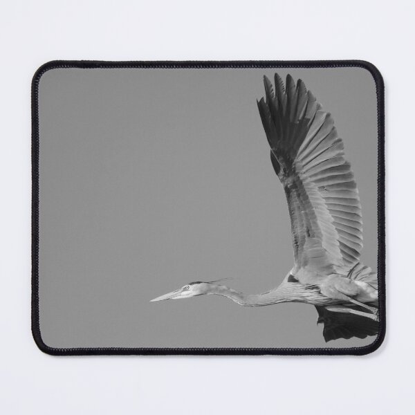 Item preview, Great Blue Heron - Flying in Blue Skies designed and sold by Puttaswamy Ravishankar.