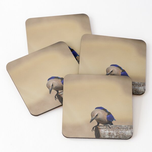Item preview, Land to better fly designed and sold by CPphotography33.