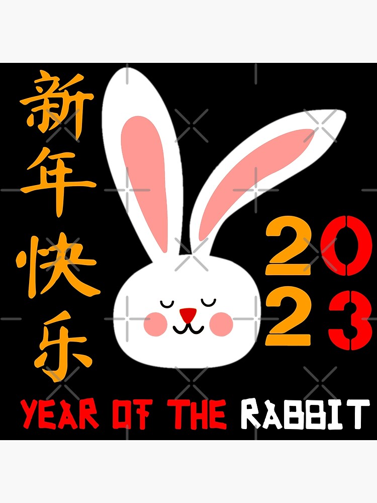 "Cute Chinese Rabbit Chinese Zodiac 2023 New Years 2023 Water Rabbit